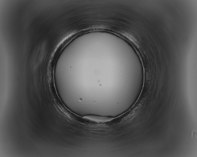 X0000087011119200705071520