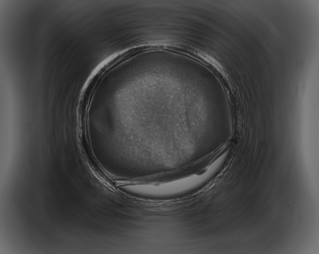 X0000087011120200705071520