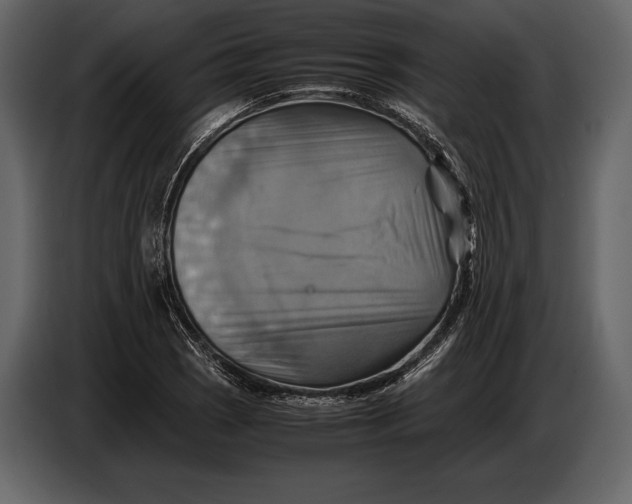 X0000087011121200705071520