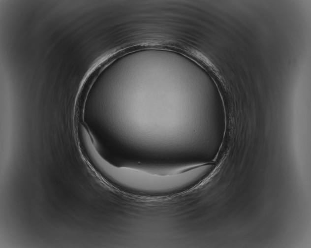 X0000087011122200705071520