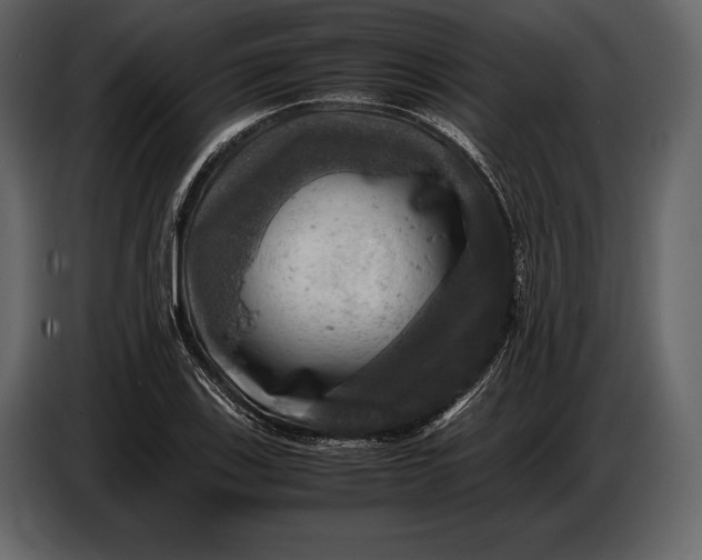 X0000087011123200705071520