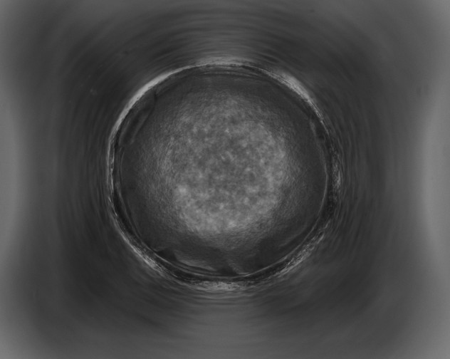 X0000087011124200705071520