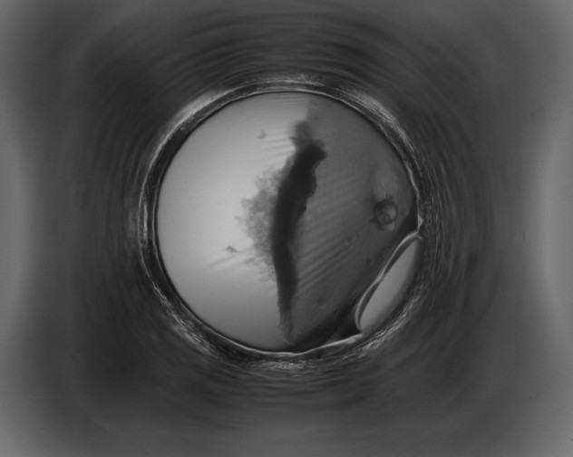 X0000087011125200705071520