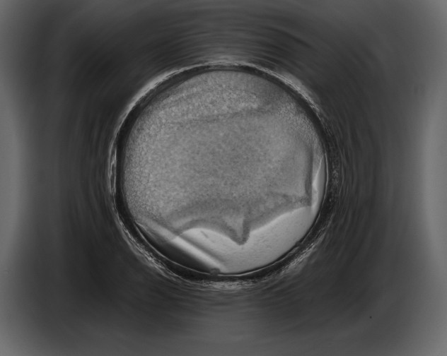 X0000087011126200705071520