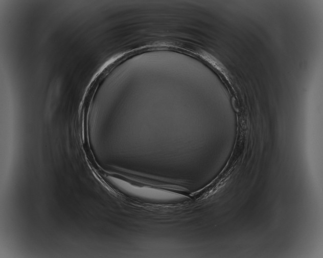 X0000087011127200705071520