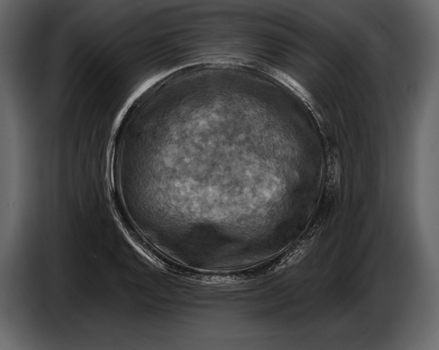 X0000087011128200705071520