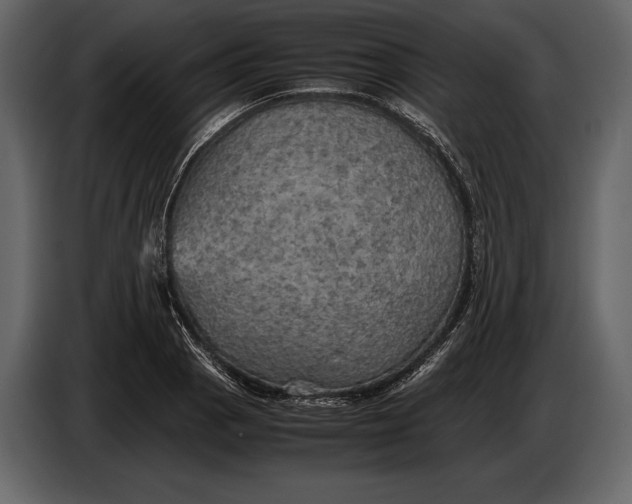 X0000087011129200705071520