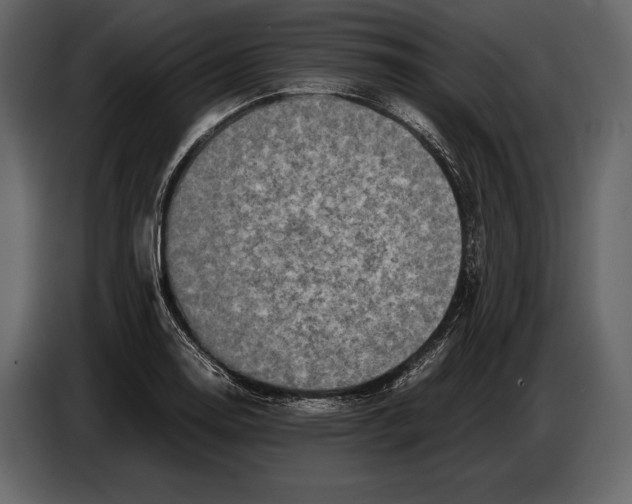 X0000087011130200705071520