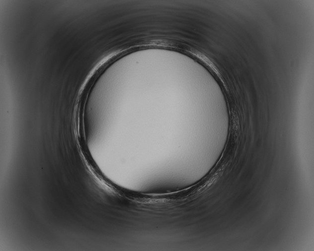 X0000087011131200705071520