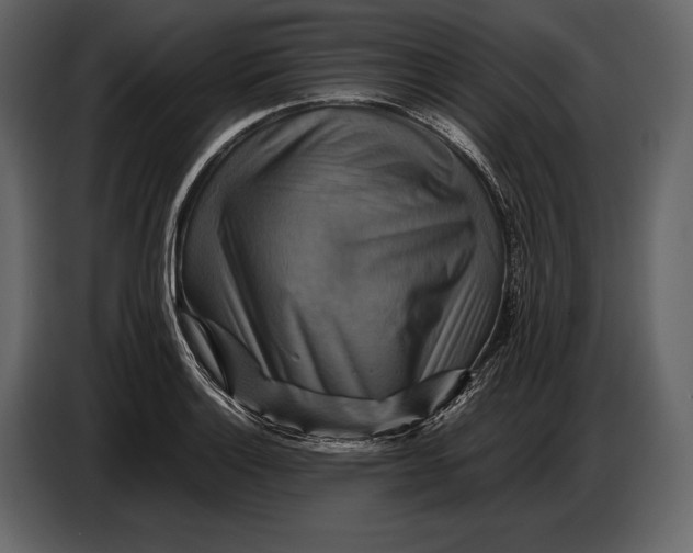 X0000087011132200705071520