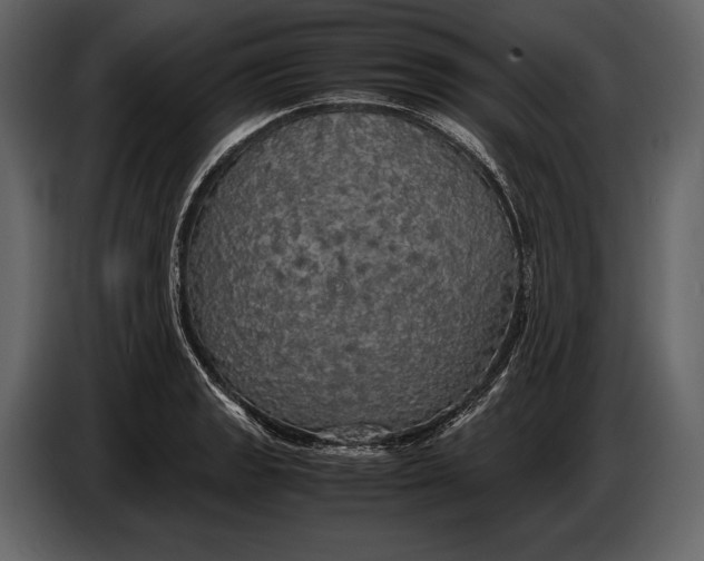 X0000087011133200705071520