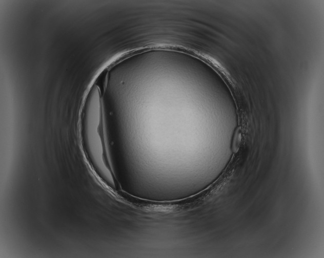 X0000087011134200705071520