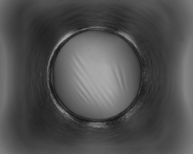 X0000087011135200705071520