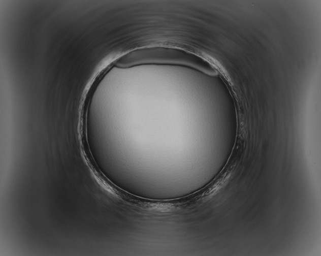 X0000087011136200705071520