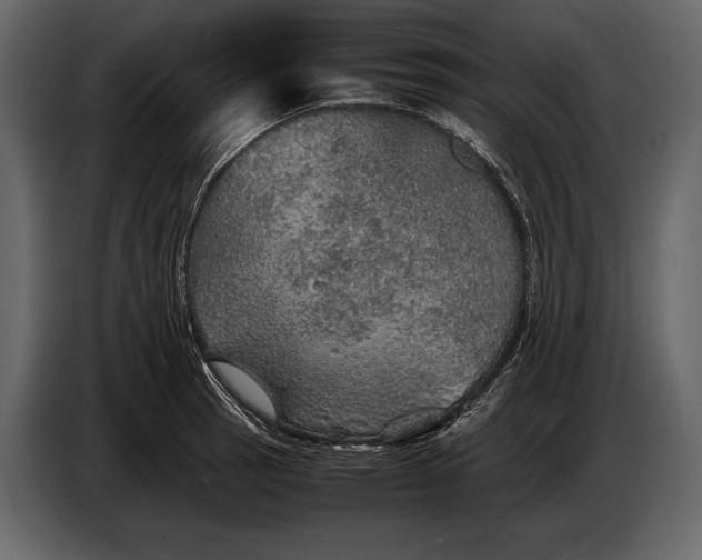 X0000087011137200705071521