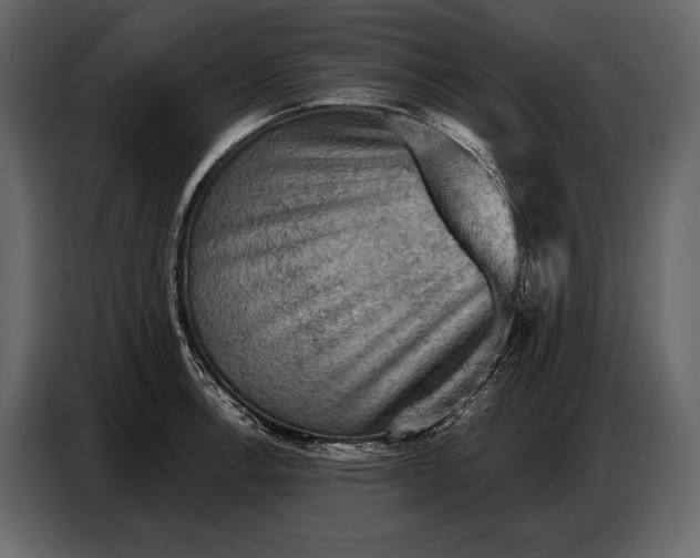 X0000087011138200705071521