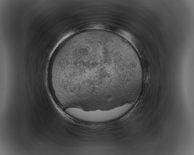 X0000087011139200705071521