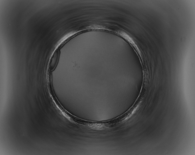 X0000087011141200705071521