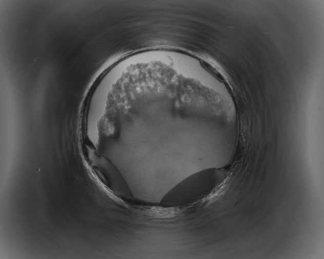 X0000087011142200705071521