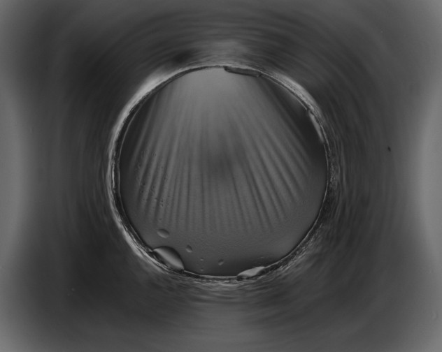 X0000087011144200705071521