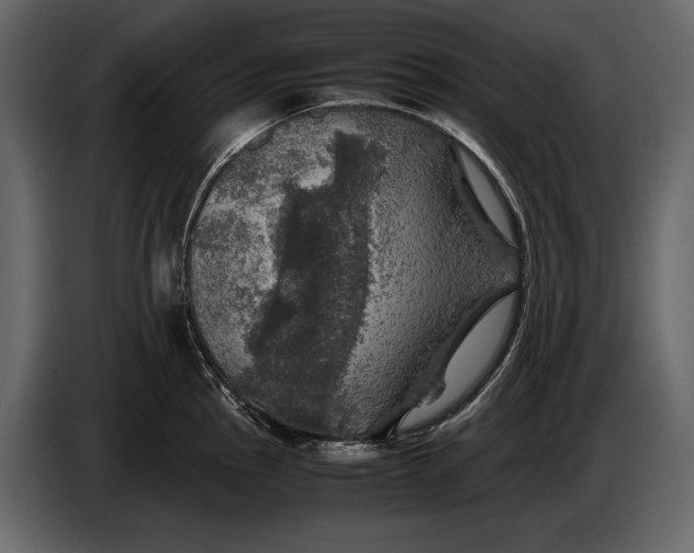 X0000087011145200705071521