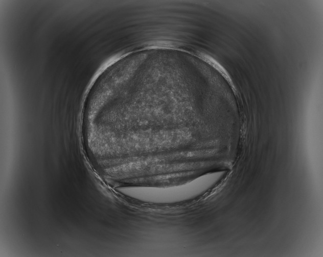 X0000087011146200705071521