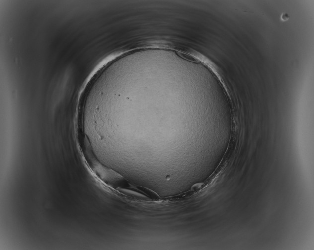 X0000087011147200705071521