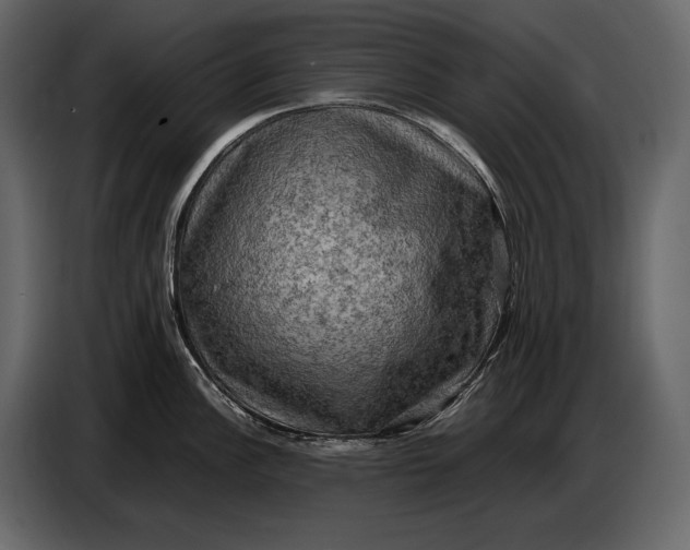 X0000087011148200705071521