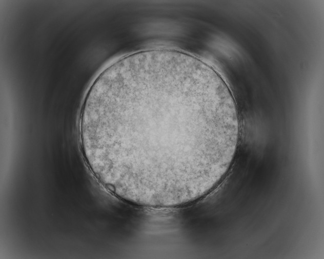 X0000087011150200705071521