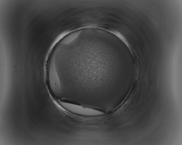 X0000087011151200705071521