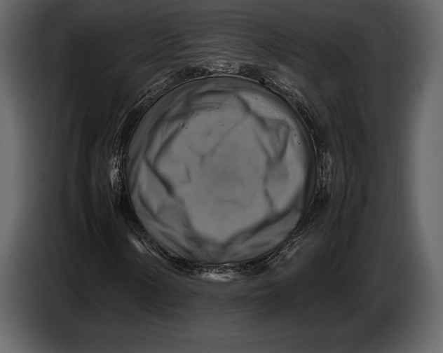 X0000087011154200705071520