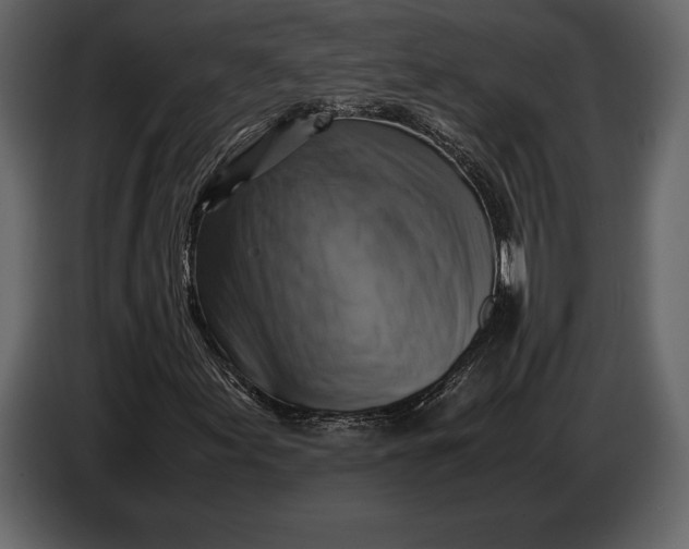 X0000087011155200705071520