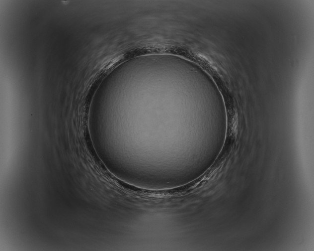 X0000087011157200705071520