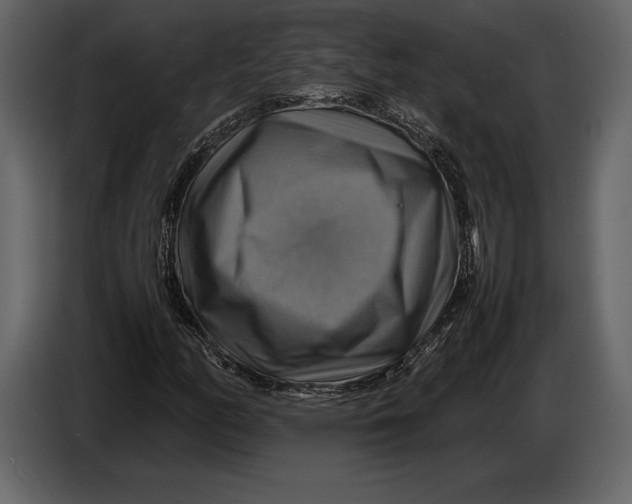 X0000087011158200705071520