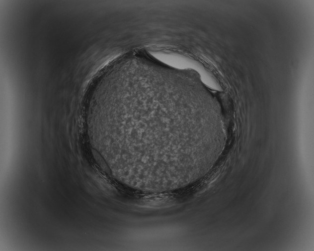 X0000087011159200705071520