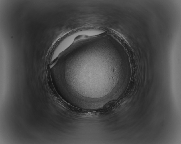 X0000087011160200705071520