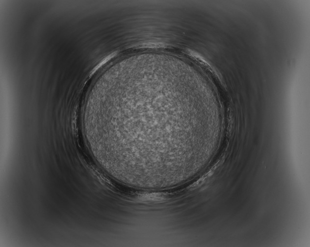 X0000087011162200705071520