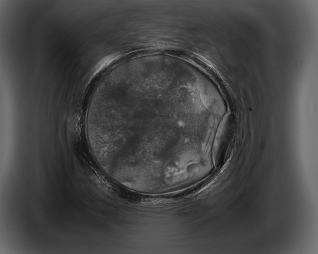 X0000087011163200705071520