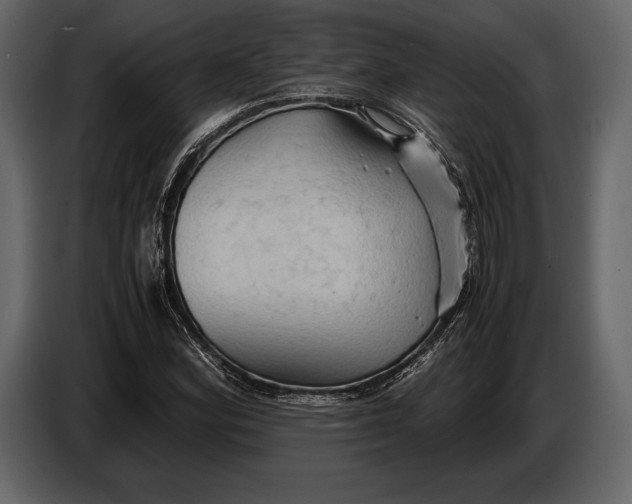 X0000087011164200705071520