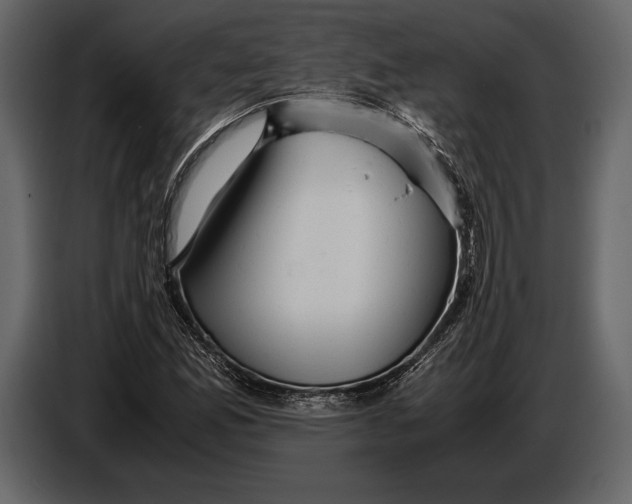 X0000087011165200705071520