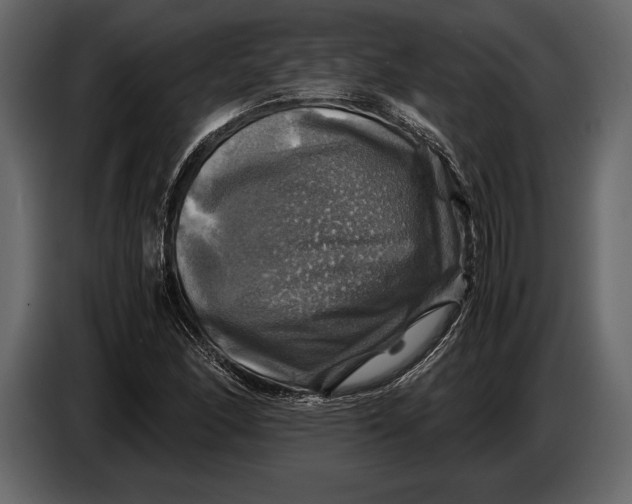 X0000087011166200705071520