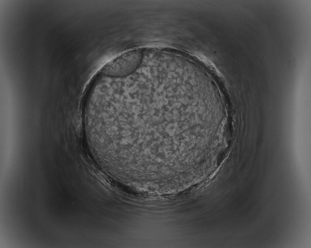 X0000087011167200705071520