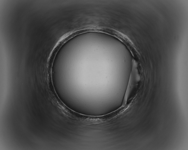 X0000087011168200705071520