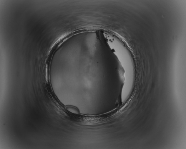 X0000087011171200705071520