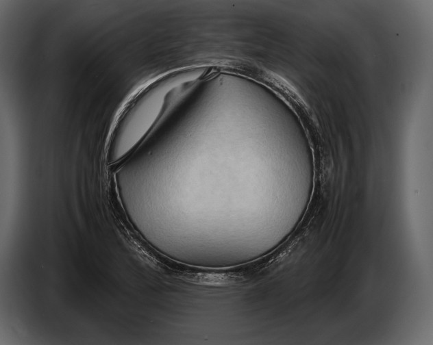 X0000087011172200705071520