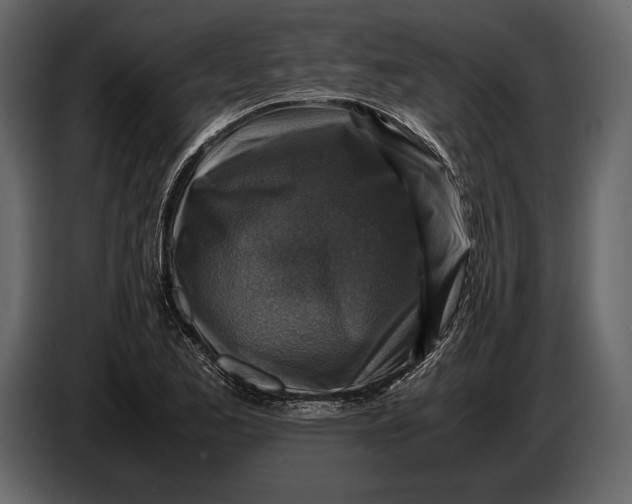 X0000087011173200705071520