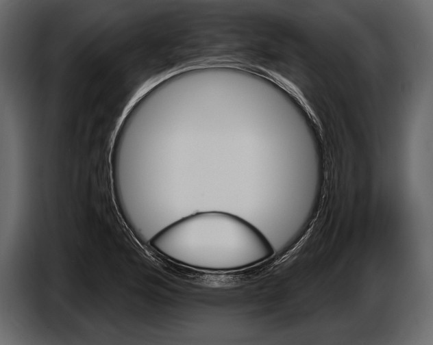 X0000087011176200705071520