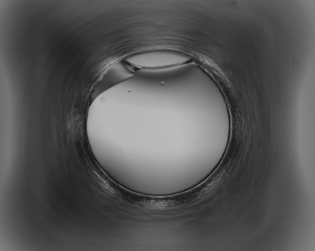 X0000087011177200705071520