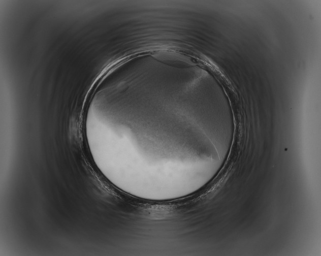 X0000087011178200705071520