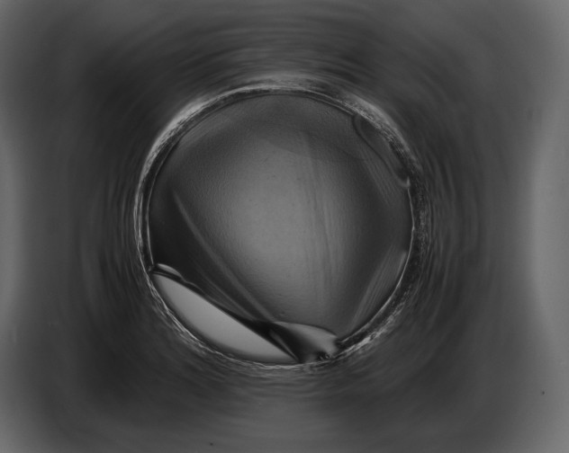 X0000087011180200705071520